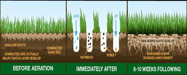 Turf Treatment drawing of the aeration process