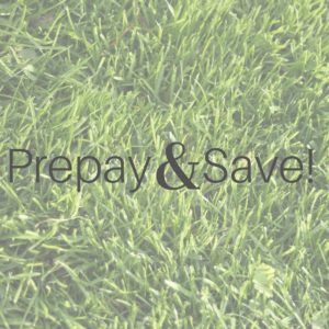 Prepay & Save on Turf Treatment