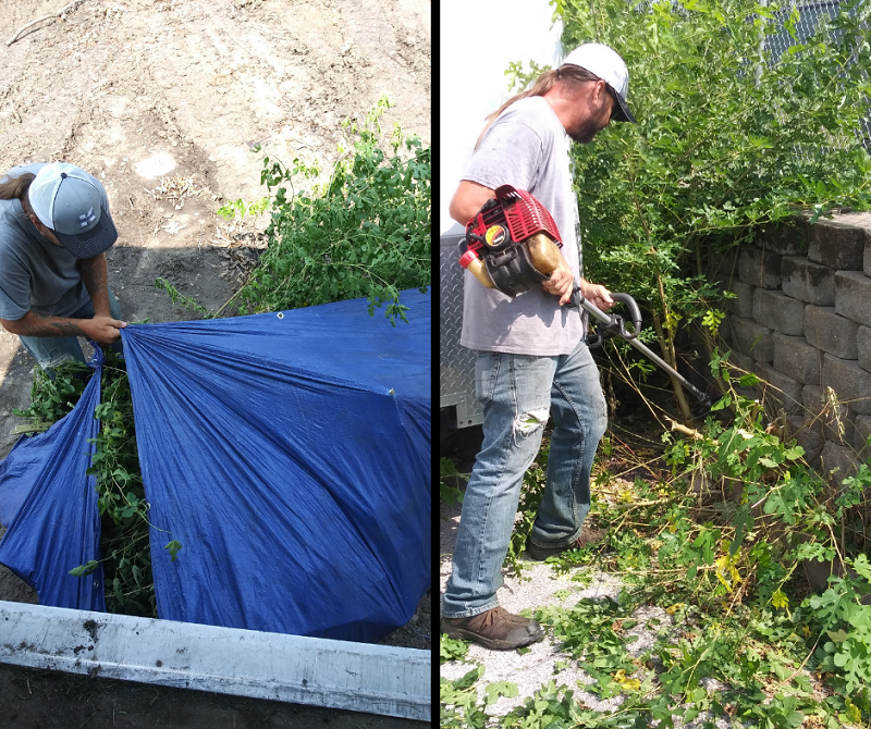 Lawn Services Kohler Outdoor spring yard clean up