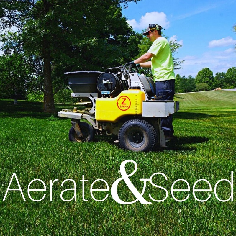 Aeratea Lawn Services By Kohler Outdoor Include Aeration and Seeding