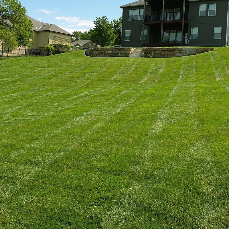 Lawn Care Lehi Ut