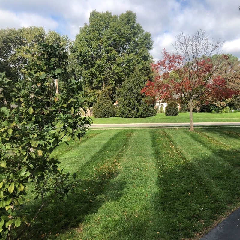 Turf Treatment Routes Are Available! (Kohler Provided Photo) Kohler Lawn & Outdoor
