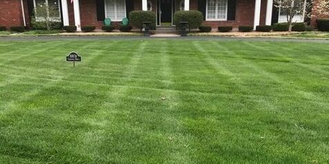 Kohler Lawn & Outdoor grass with turf treatment